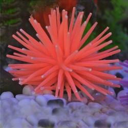 Luminous aquarium decoration - silicone coralDecorations