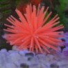 Luminous aquarium decoration - silicone coralDecorations