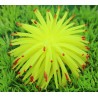 Decoração de aquário luminosa - coral de silicone