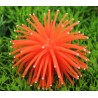Luminous aquarium decoration - silicone coralDecorations