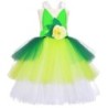 Traje de fada - vestido verde - com asas