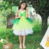 Traje de fada - vestido verde - com asas