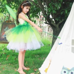 Traje de fada - vestido verde - com asas