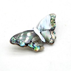 Borboleta de concha de pérola - broche