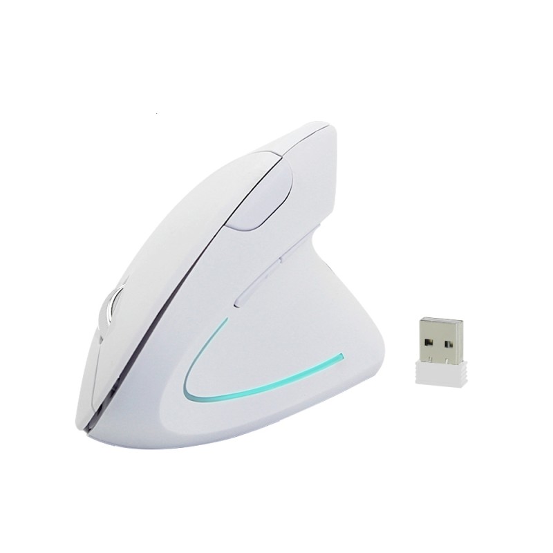 Ergonomic vertical wireless mouse - USB - optical - 1600 DPI 6D - with LED lightMouses