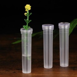 Tubos plásticos transparentes - mini suporte para flores - recipiente para água - 50 unidades