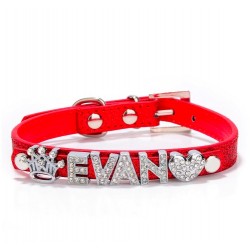Coleira para cães/gatos - com cristal nome e charm - personalizada