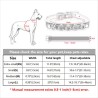 Coleira para cães/gatos - com cristal nome e charm - personalizada