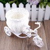 Plastic white bicycle - decorative flower basket - containerGarden