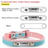 Coleira para cães/gatos - Tag de identificação - personalizada - gravada - couro