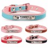 Coleira para cães/gatos - Tag de identificação - personalizada - gravada - couro