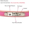 Dogs / cats collar - ID Tag - personalized - engraved - leatherCollar & Leads