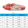 Coleira para cães/gatos - Tag de identificação - personalizada - gravada - couro