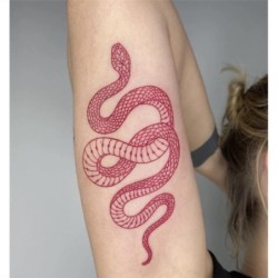 Tatuagem temporária - adesivo - cobra vermelha