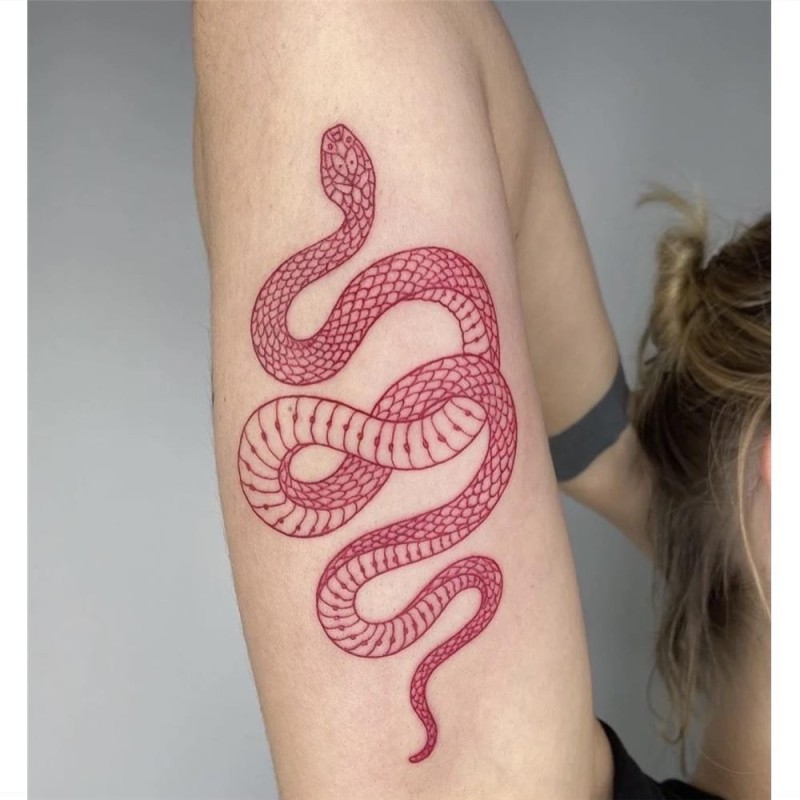 Temporary tattoo - sticker - red snakeStickers