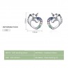 Heart shaped crystal unicorn - silver earringsEarrings