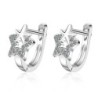 Silver earrings with a double star / crystalsEarrings