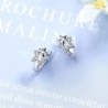 Silver earrings with a double star / crystalsEarrings