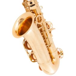 Professional saxophone - key-Eb Alto - with case / accessoriesSaxophones