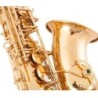 Saxofone profissional - chave-Mib Alto - com estojo / acessórios