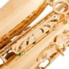 Professional saxophone - key-Eb Alto - with case / accessoriesSaxophones