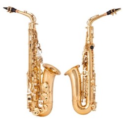 Professional saxophone - key-Eb Alto - with case / accessoriesSaxophones