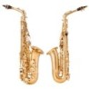 Saxofone profissional - chave-Mib Alto - com estojo / acessórios