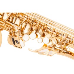 Saxofone profissional - chave-Mib Alto - com estojo / acessórios