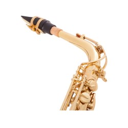 Professional saxophone - key-Eb Alto - with case / accessoriesSaxophones
