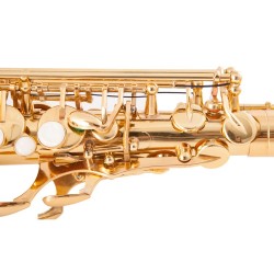 Professional saxophone - key-Eb Alto - with case / accessoriesSaxophones