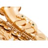 Saxofone profissional - chave-Mib Alto - com estojo / acessórios