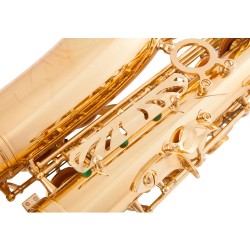 Professional saxophone - key-Eb Alto - with case / accessoriesSaxophones