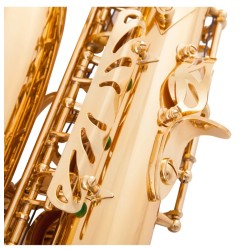 Professional saxophone - key-Eb Alto - with case / accessoriesSaxophones