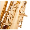 Professional saxophone - key-Eb Alto - with case / accessoriesSaxophones