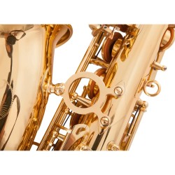 Professional saxophone - key-Eb Alto - with case / accessoriesSaxophones