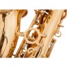 Saxofone profissional - chave-Mib Alto - com estojo / acessórios