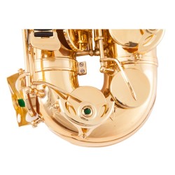 Professional saxophone - key-Eb Alto - with case / accessoriesSaxophones