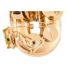 Professional saxophone - key-Eb Alto - with case / accessoriesSaxophones