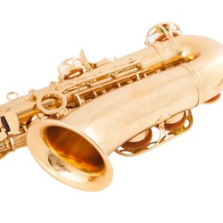 Saxofone profissional - chave-Mib Alto - com estojo / acessórios