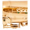 Professional saxophone - key-Eb Alto - with case / accessoriesSaxophones