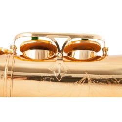 Saxofone profissional - chave-Mib Alto - com estojo / acessórios