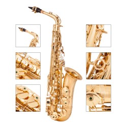 Professional saxophone - key-Eb Alto - with case / accessoriesSaxophones