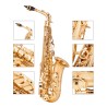 Saxofone profissional - chave-Mib Alto - com estojo / acessórios