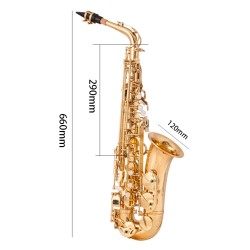 Saxofone profissional - chave-Mib Alto - com estojo / acessórios