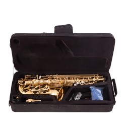 Professional saxophone - key-Eb Alto - with case / accessoriesSaxophones