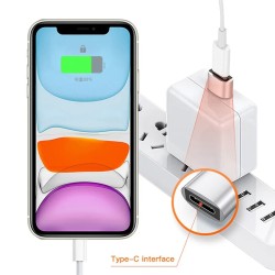 USB to type C - OTG adapter - USB-C - male to micro USB type-C female - converter - 2 piecesAccessories