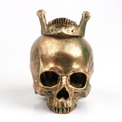 Crânio humano feito de resina artesanal - bronze