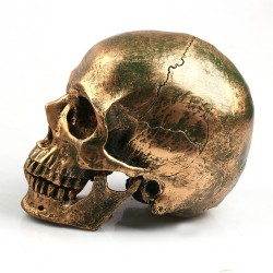Crânio humano feito de resina artesanal - bronze