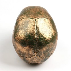 Crânio humano feito de resina artesanal - bronze