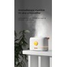Umidificador de ar ultrassônico - difusor de óleos essenciais - chama LED colorida